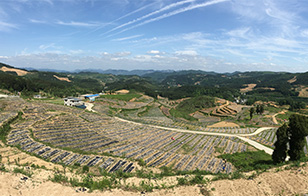 莳植基地